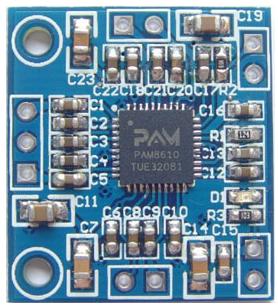  RS047.   2x15   PAM8610 (D )